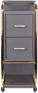 GABBIANO POMOCNIK FRYZJERSKI SOLO ZŁOTO SZARY 135396 - Meble fryzjerskie - miniaturka - grafika 9