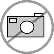 Ładowarki i akumulatory - LP Ładowarka sieciowa USB 2400 mA LEC-GSM1035 - miniaturka - grafika 1