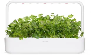 CLICK AND GROW Click And Grow Kapsułki roślinne Click and Grow Plant Pods Kolendra 3-Pack SGR45x3 4742793008417 - Systemy inteligentnych domów - miniaturka - grafika 6