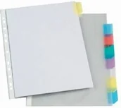 Koszulki na dokumenty - Esselte KOSZULKA A4 Z INDEK.8SZT 414150 414150 - miniaturka - grafika 1