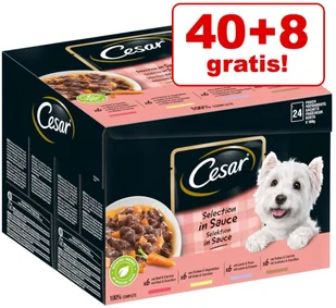 Cesar 40 + 8 gratis! saszetki dla psa w sosie lub galarecie 48 x 100 g Selection mięso i warzywa w galarecie - Mokra karma dla psów - miniaturka - grafika 2