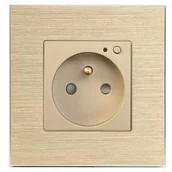 Systemy inteligentnych domów - Gniazdko Smart Plug iQtech SmartLife JW04A-G 16 A měření spotřeby JW04A-G) Aluminium/Złota - miniaturka - grafika 1