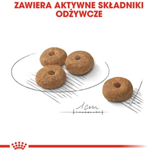 Royal Canin CCN Mini Sterilised 1 kg - Sucha karma dla psów - miniaturka - grafika 5