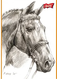 St. Majewski Szkicownik A4 20k Konie - Przybory szkolne - miniaturka - grafika 2