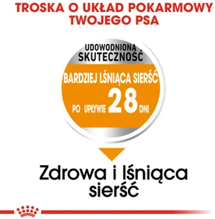 Royal Canin CCN Mini Coat Care 8 kg - Sucha karma dla psów - miniaturka - grafika 4