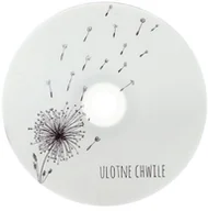 Nośniki danych - Płyta DVD TS dmuchawce (DVD-R 4,7GB 16x) - miniaturka - grafika 1