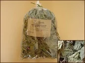 Przysmaki dla gryzoni - Zuzala BABKA SZEROKOLISTNA SUSZONA 100G - miniaturka - grafika 1