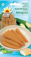 Nasiona i cebule - Toraf WARZYWA Kukurydza Minigold 5g nasiona 01412 - miniaturka - grafika 1