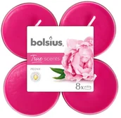 Świece - Bolsius Podgrzewacz zapachowy TRUE SCENTS piwonia 8 szt. - miniaturka - grafika 1