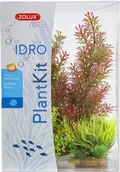 Dekoracje do akwarium - Zolux PLANTKIT IDRO N 1 352150 - miniaturka - grafika 1