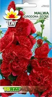 Nasiona i cebule - Toraf KWIATY Malwa ogrodowa czerwona nasiona 0,5g 00431 - miniaturka - grafika 1