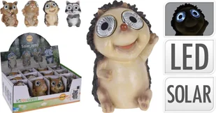 ProGarden Lampa solarna 252120650D ogrodowa szop wzór D 252120650D - Lampy ogrodowe - miniaturka - grafika 2