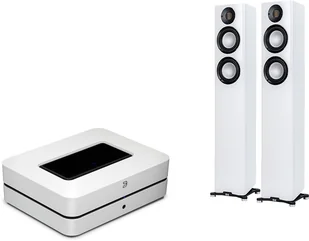 Bluesound POWERNODE + Carina FS247.4 - Zestawy stereo - miniaturka - grafika 2