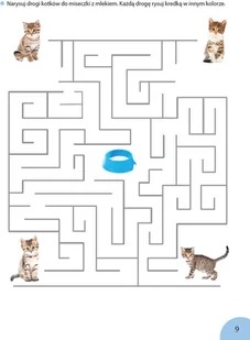 Wydawnictwo MAC Owocna Edukacja. Ćwiczenia grafomotoryczne 881198 - Edukacja przedszkolna - miniaturka - grafika 7