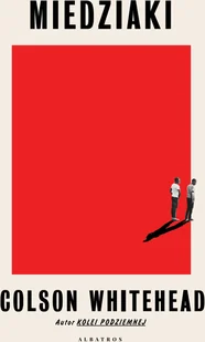 Albatros Miedziaki LIT-22987 - Powieści - miniaturka - grafika 2