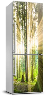 Naklejka Tapeta na lodówkę Słońce w lesie - Naklejki na drzwi i meble - miniaturka - grafika 3