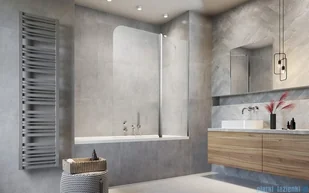 Radaway Eos PND II Parawan nawannowy 110 prawy przejrzyste 1206211-01R | - Parawany nawannowe Radaway Eos PND II Parawan nawannowy 110 prawy przejrzyste 1206211-01R | - Parawany nawannowe - miniaturka - grafika 3