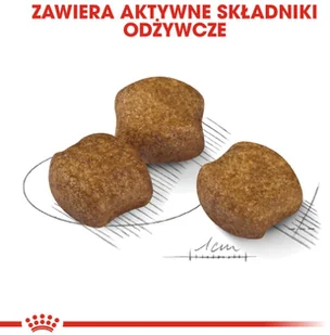 Royal Canin CCN Medium Dental Care 10 kg - Sucha karma dla psów - miniaturka - grafika 5