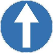 Wyposażenie miejsc publicznych - Znak drogowy nakazu C- 5 Nakaz jazdy prosto - miniaturka - grafika 1