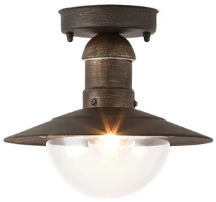 Rabalux Zewnętrzna LAMPA sufitowa OSLO 8736 industrialna OPRAWA ogrodowa outdoor IP44 antyczne złoto 8736 - Lampy sufitowe - miniaturka - grafika 2