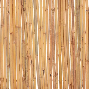 vidaxl Ogrodzenie z bambusa, 500 x 30 cm - Ogrodzenia - miniaturka - grafika 7