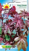 Nasiona i cebule - Toraf KWIATY Rącznik czerwonolistny nasiona 8 szt 00466 - miniaturka - grafika 1
