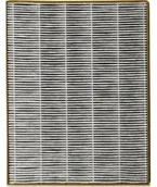 Filtry do oczyszczaczy powietrza - TOSHIBA Filtr do oczyszczacza TOSHIBA CAFX116XPL 5w1 - miniaturka - grafika 1