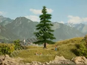 Kolejki i akcesoria - NOCH Jodła Nordmanna 14,5 cm 21811 - miniaturka - grafika 1