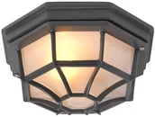 Lampy ogrodowe - QAZQA Wiejska lampa sufitowa ciemnoszara IP44 - Bri L - miniaturka - grafika 1