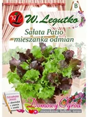 Nasiona i cebule - Legutko Sałata Patio MIESZANKA ODMIAN - miniaturka - grafika 1