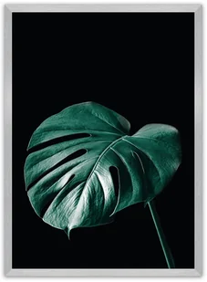Dekoria Dekoria Plakat Dark Monstera 30 x 40 cm Ramka Srebrna 219B-000-21 - Plakaty Dekoria Dekoria Plakat Dark Monstera 30 x 40 cm Ramka Srebrna 219B-000-21 - Plakaty - miniaturka - grafika 1