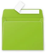 Papier do drukarek - Clairefontaine envelope pyłki 90 X 140 120 G miętowy 5541C - miniaturka - grafika 1