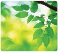 Podkładki pod mysz - Fellowes Podkładka pod mysz liście X07184 - miniaturka - grafika 1