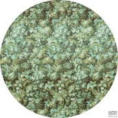 Fototapety - Komar Fototapeta Greenery D1-024 D1-024 - miniaturka - grafika 1