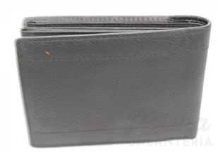 Wild Portfel Męski Skórzany AW Skóra Licowa Duży Poziomy Bez Zapięcia - Portfele - miniaturka - grafika 4