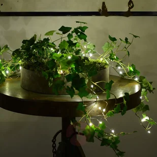 Sirius Łańcuch świetlny LED KNIRKE 40-pkt., wew. i zewn. - Pozostałe oświetlenie - miniaturka - grafika 2