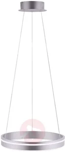 Paul Neuhaus Inteligentna lampa sufitowa stal 40 cm z pilotem - Ronith - Systemy inteligentnych domów - miniaturka - grafika 3