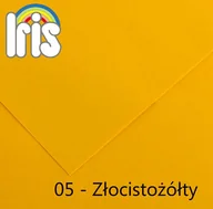 Papier do drukarek - Canson Karton kolorowy 200040156) - miniaturka - grafika 1