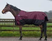 Derki dla konia - Derka padokowa 150g 600D AW21 - QHP - tetrise 6158 - miniaturka - grafika 1