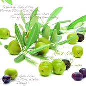 Folia, papier śniadaniowy, serwetki - Nuova R2S R2S Serwetki stołowe R2S 20 szt 414 OVS - miniaturka - grafika 1