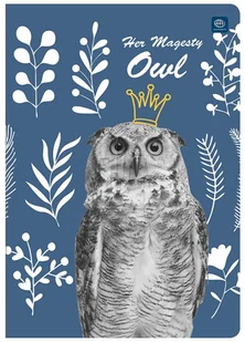 Inter-druk Zeszyt A5 80k. - linia - Zeszyty szkolne - miniaturka - grafika 8