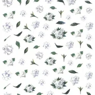 Ozdoby do paznokci - Allepaznokcie Naklejki do paznokci cienkie samoprzylepne Miss Colour Nr R005 - miniaturka - grafika 1