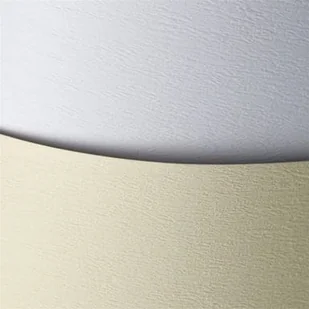 Argo Karton Ozdobny 230g/m2 - faktura ATLANTA kolor BIAŁY - 20 A4 203201 - Papier do drukarek - miniaturka - grafika 2