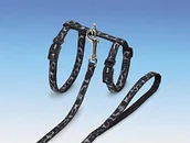 Obroże dla kotów - Nobby 77910 kot komplet Leo, XL 77910 - miniaturka - grafika 1