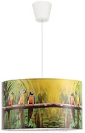 Lampy sufitowe - Duolla Żyrandol dziecięcy na drucie PARROTS 1xE27/40W/230V - miniaturka - grafika 1