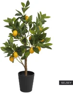 Sztuczne kwiaty - SELSEY Sztuczny kwiat Ilmur Drzewko cytrynowe 70 c - miniaturka - grafika 1