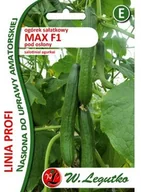 Nasiona i cebule - Legutko Ogórek gruntowy sałatkowy pod osłony MAX F1 PROFI - miniaturka - grafika 1