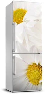 Naklejka okleina Stokrotki - Naklejki na drzwi i meble - miniaturka - grafika 2