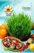 Nasiona na kiełki - Toraf Owies Wielkanocny 30g Nas000058 - miniaturka - grafika 1