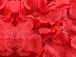 PartyDeco Płatki róż w woreczku czerwone 100 szt. PLRD100-007 - Walentynki - miniaturka - grafika 3